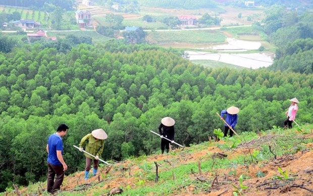 Illustrative image (Photo: vneconomy.vn)