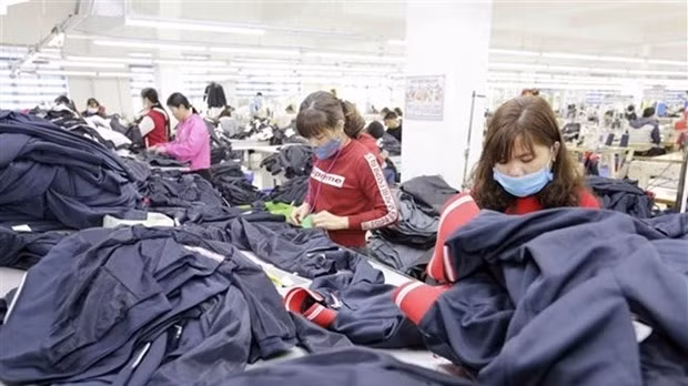 Producing garments for export at Hung Viet Co., Ltd in Hung Yen. (Photo: VNA)