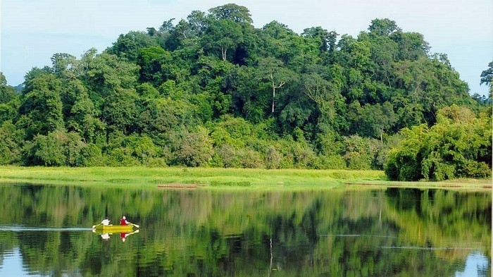 Forest on Phu Quoc island (Photo: VNA)