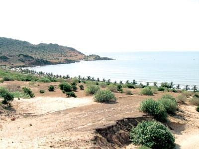 Severe desertification in Binh Thuan province