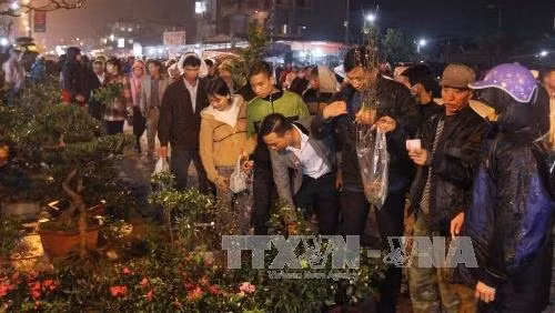 Many varieties of ornamental plants are on sale at Vieng market. (Photo: VNA)