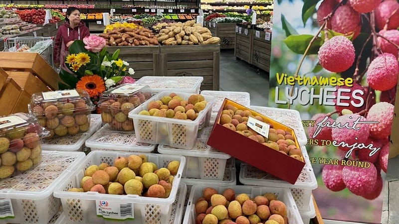 Vietnam and Australia enjoyed strong growth in two-way trade in the first half of this year at 38.45% to 8.01 billion USD. (Photo: VNA)
