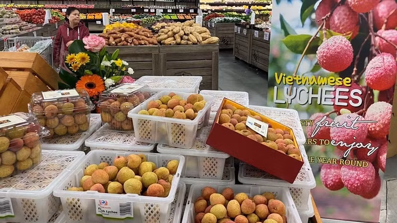 Vietnam and Australia enjoyed strong growth in two-way trade in the first half of this year at 38.45% to 8.01 billion USD. (Photo: VNA)