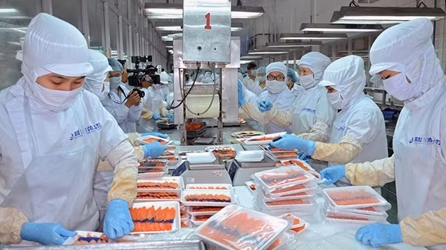 Processing seafood for export at Hai Nam Corporation in Binh Thuan Province (Photo: Dinh Chau)