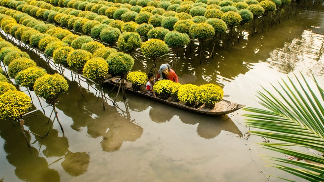 Vietnam ranks among best destinations for homestays