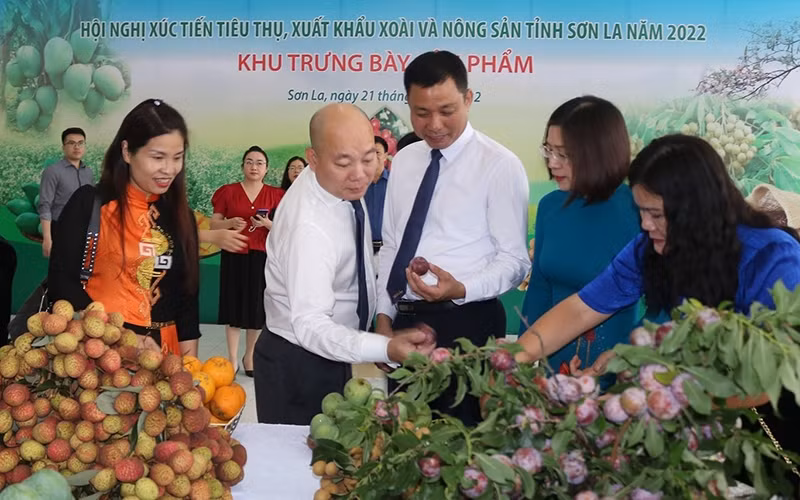 Delegates visit a booth displaying agricultural products of Son La.