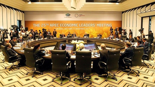 APEC 2017: 25th APEC Economic Leaders’ Meeting opens in Da Nang city on November 11 morning (Photo: VNA)