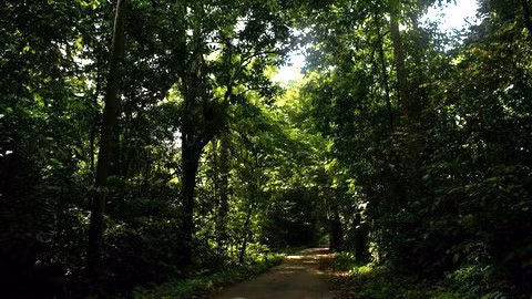 Cuc Phuong National Park