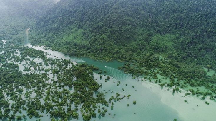A forest in Thuong Hoa commune, Minh Hoa district, Quang Binh province. (Photo: baoquangbinh.vn)