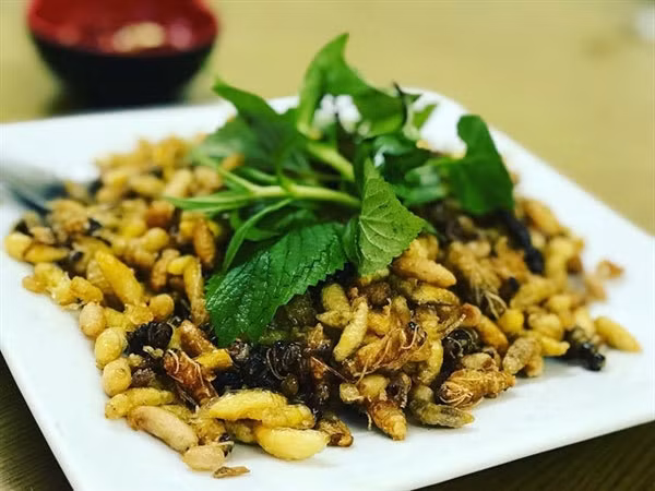 Roasted pupae have a great and unique taste. (Photo cattour.vn)