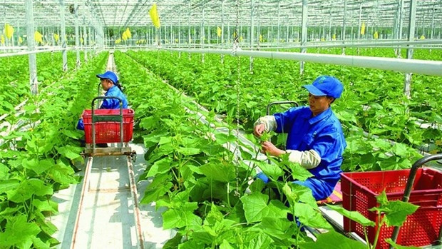 Illustrative image (Photo: baovanhoa.vn)