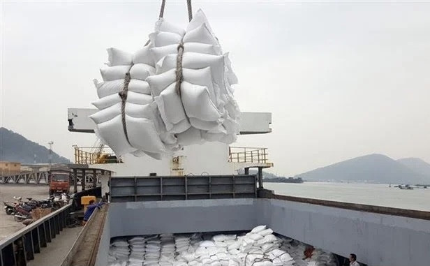 Bilateral trade between Vietnam and Africa has grown positively over the past year, hitting US$6.7 billion in 2020. (Photo: VNA)