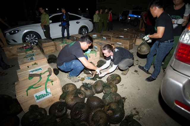 WRCC staff conducting rescue work at the scene. (Credit: baotainguyenmoitruong.vn)
