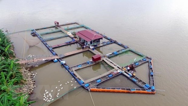 Illustrative image (Photo: VNA)