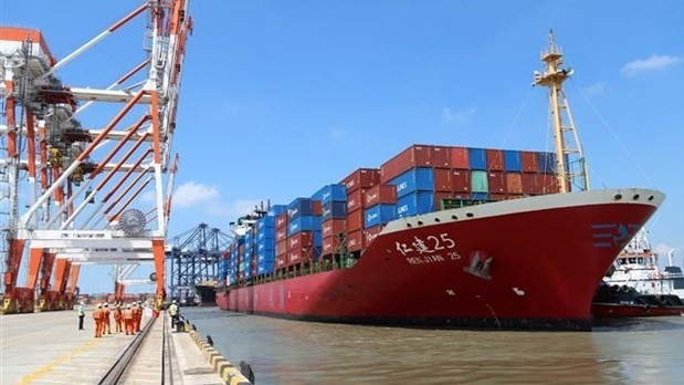 Cai Mep-Thi Vai port (Photo: VNA)