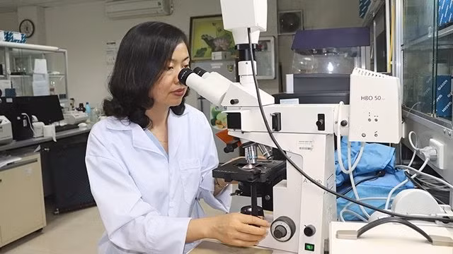 Young doctor Tran Van Khanh is one of the two winners of the 2017 Kovalevskaia Award.	