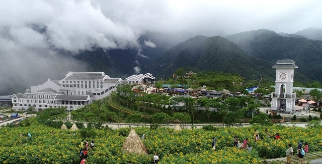 The sunflowers hill, located in Sun World Fansipan Legend, covers 25,000 square meters