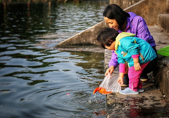 By freeing carp into public waters, families across Vietnam bid farewell to the Kitchen Gods on the 23rd day of the last month of the Lunar New Year. It is also a tradition to release live carp as a means of transport for the gods and also as a good deed to invite good luck. (Photo: VNA)