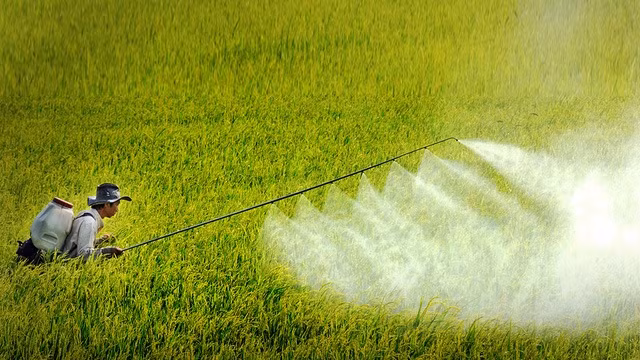 Vietnam uses a high amount of pesticides, up to 100,000 tonnes per year (Illustrative image)