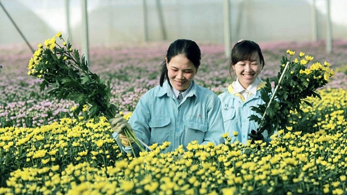 Lam Dong provincial authorities have put forward many policies to facilitate agricultural based tourism development (Photo: NDO/Tien Anh)