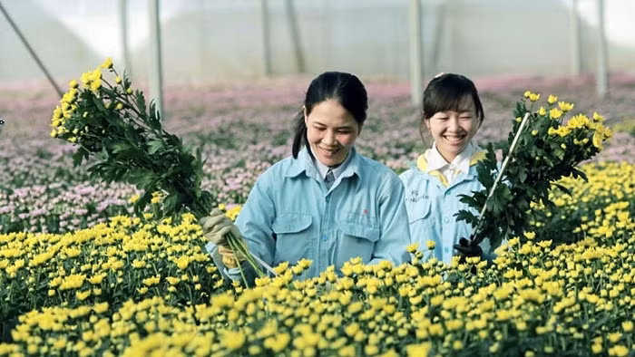 Lam Dong provincial authorities have put forward many policies to facilitate agricultural based tourism development (Photo: NDO/Tien Anh)