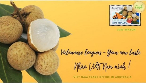The Vietnam Trade Office organises an event to introduce Vietnamese longan to local consumers (Photo: congthuong.vn)