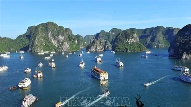 Illustrative image (Photo: VNA)