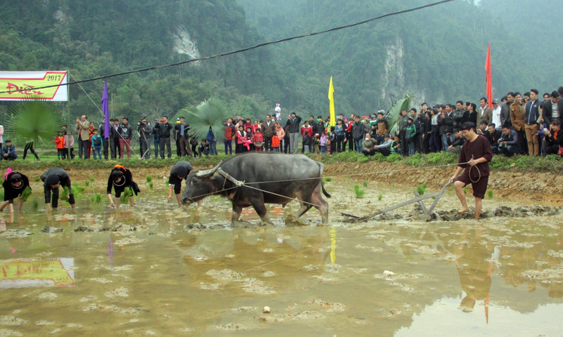 Tuyen Quang ethnic groups observe Long Tong festival