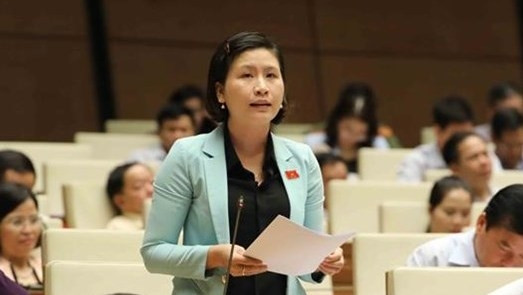 A deputy speaks at the NA plenary sesion (Photo: VNA)