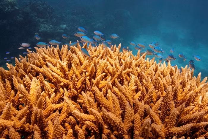 Illustrative Image (Photo: Reuters)