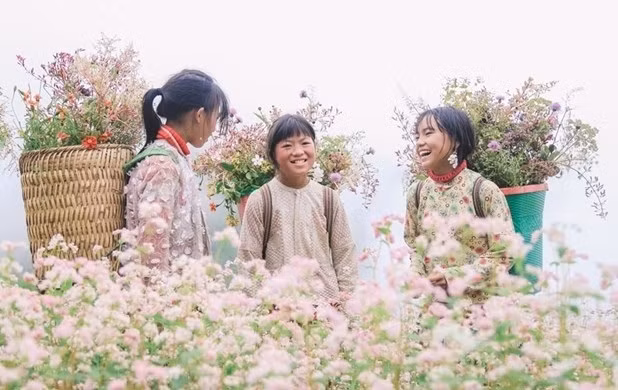 Children in Ha Giang stand at a buckwheat flower field (Photo: VNA)