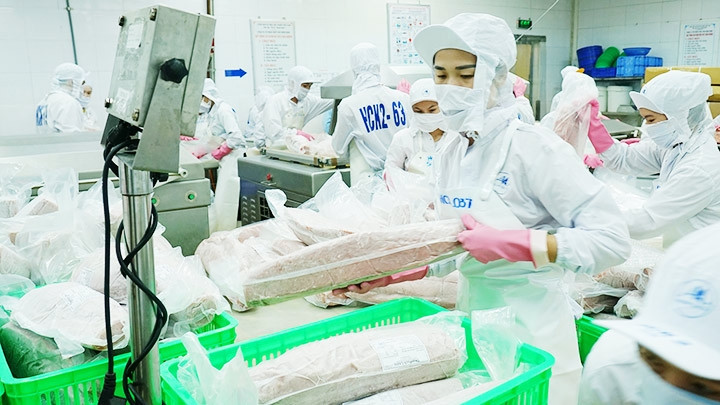 The signing of the EVFTA helps many export industries to expand market. (Photo: HAI DONG)