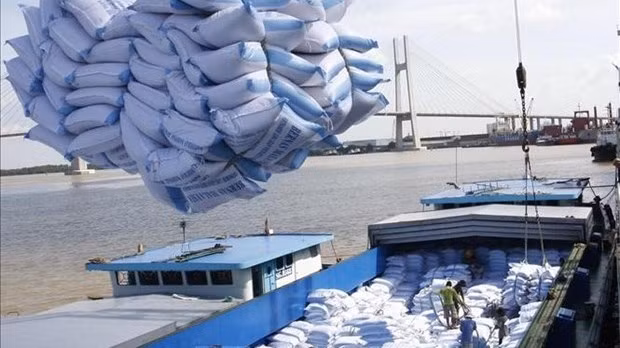 Loading and unloading rice for export at Saigon port. (Source: VNA)