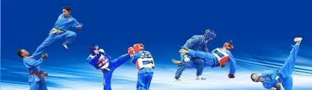 Vietnam Vovinam carries noble mission to 27th SEA Games