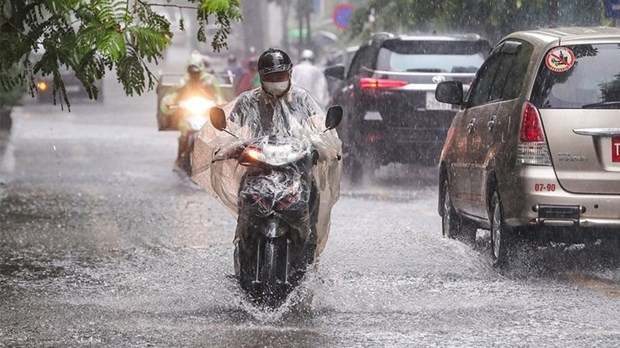 In a heavy rain (Photo: VNA)