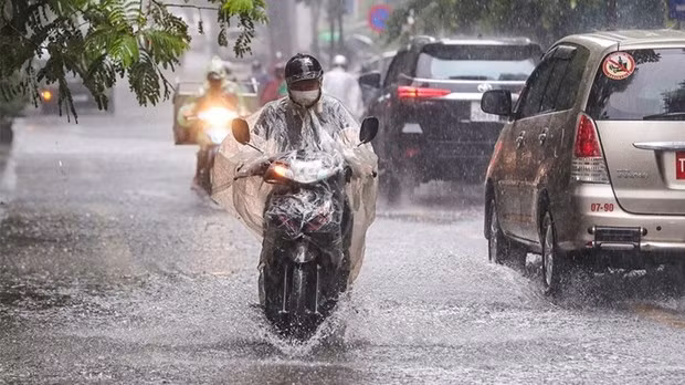 In a heavy rain (Photo: VNA)