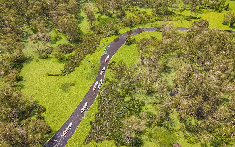 Tourists visit Tra Su Melaleuca forest, Van Giao Commune, Tinh Bien District, An Giang Province. (Photo: Nguyen Chau)