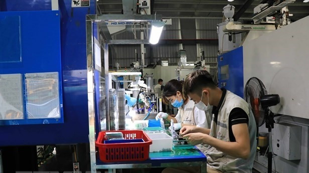 Representative image (Photo:VNA)