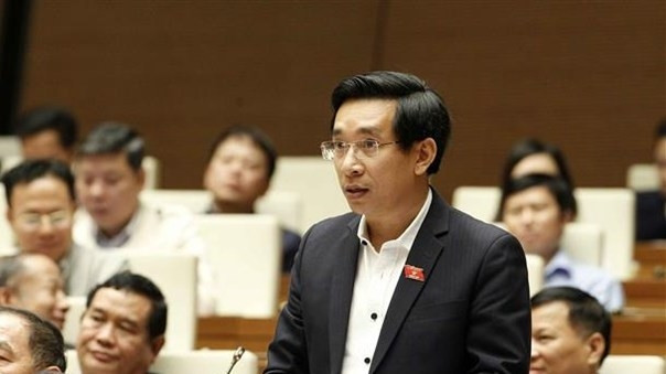 Binh Dinh province's representative Nguyen Van Canh speaks at the session (Photo:VNA)