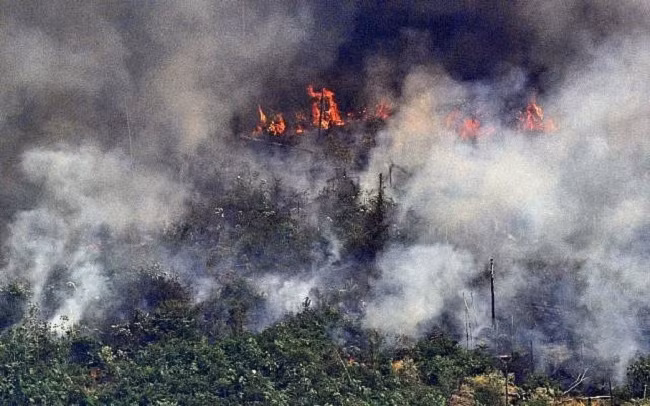 Aerial picture showing smoke from a two-kilometer-long stretch of fire billowing from the Amazon rainforest about 65 km from Porto Velho, in the state of Rondonia, in northern Brazil, on August 23, 2019. (Photo: AFP)