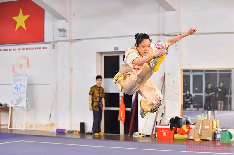 Wushu is divided into two contents: Wushu Sanshou and Wushu Taolu.