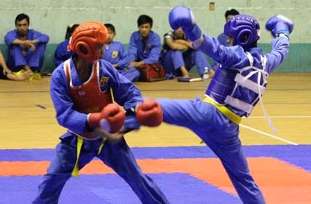 Binh Thuan hosts national vovinam championships