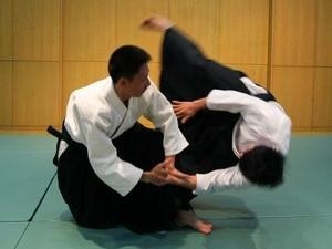 International Aikido Festival opens in Hanoi