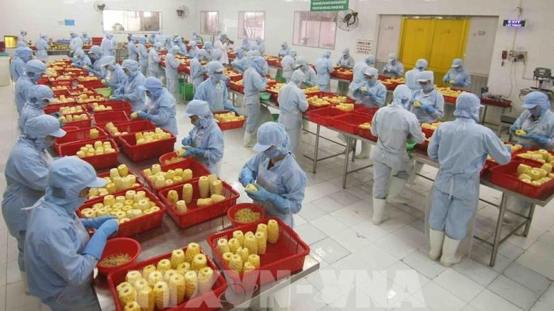 Vietnam's processed fruit and vegetable products are gradually meeting the requirements of US consumers. (Photo: VNA)