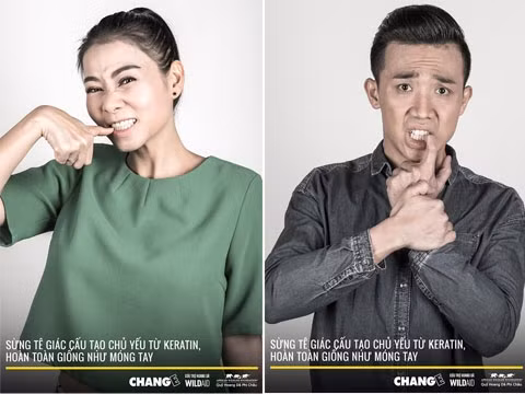 Singer Thu Minh (left) and MC Tran Thanh are among the Vietnamese celebrities who joined the Nail Biters campaign to raise public awareness on rhino protection.
