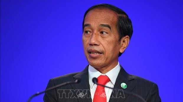  Indonesian President Joko Widodo (Photo: AFP/VNA)