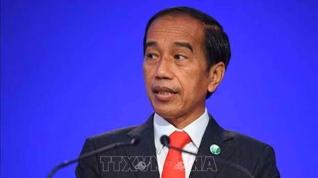  Indonesian President Joko Widodo (Photo: AFP/VNA)