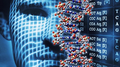 Vietnamese genome maps released