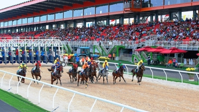 A horse race at Dai Nam racecourse