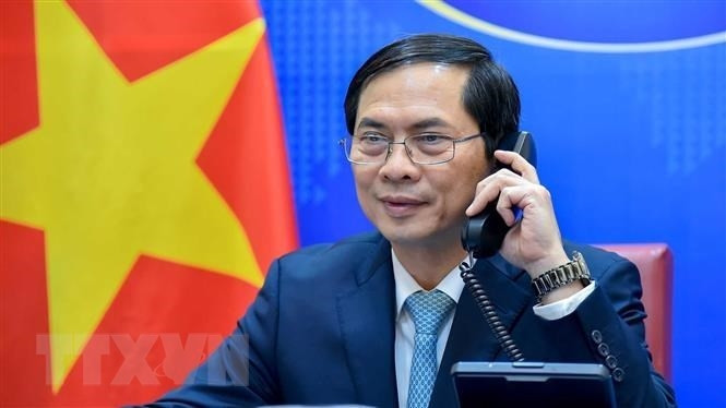 Foreign Minister Bui Thanh Son (Photo: VNA)